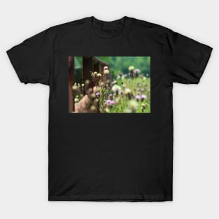 Summer Hazy Lazy Days of Nature Soft Focus Design face masks, Phone Cases, Apparel & Gifts T-Shirt